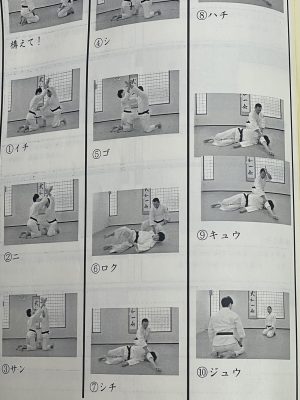 Aiki is the act of sharpening and kneading the soul through the body of the opponent.